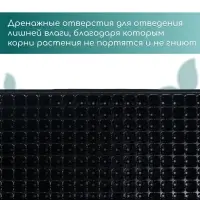 Кассета для выращивания рассады, на 200 ячеек, по 7 мл, из пластика, чёрная, 55&times;28&times;4 см, Greengo