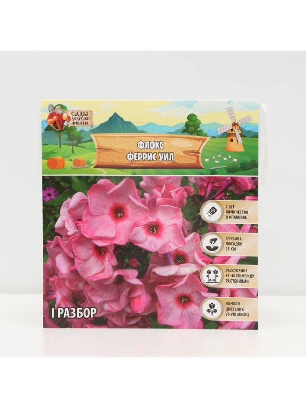 Флокс «Феррис Уил» корневище в пакете с торфогрунтом, р-р I, 2 шт.