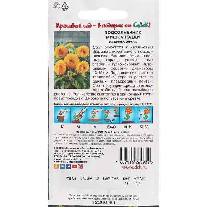 Семена цветов Подсолнечник "Мишка Тэдди "F1 1 г Семена цветов Подсолнечник "Мишка Тэдди "F1 1 г
