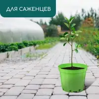 Горшок для рассады, 5 л, d=22 см, h=18 см, пластик, МИКС, Greengo