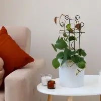 Шпалера, 40&times;18&times;0.3 см, металл, зелёная, &laquo;Узорная&raquo;