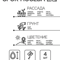 Семена цветов Пеларгония "Дансер Дип Роуз", зональная, Сем. Алт, ц/п, 3 шт