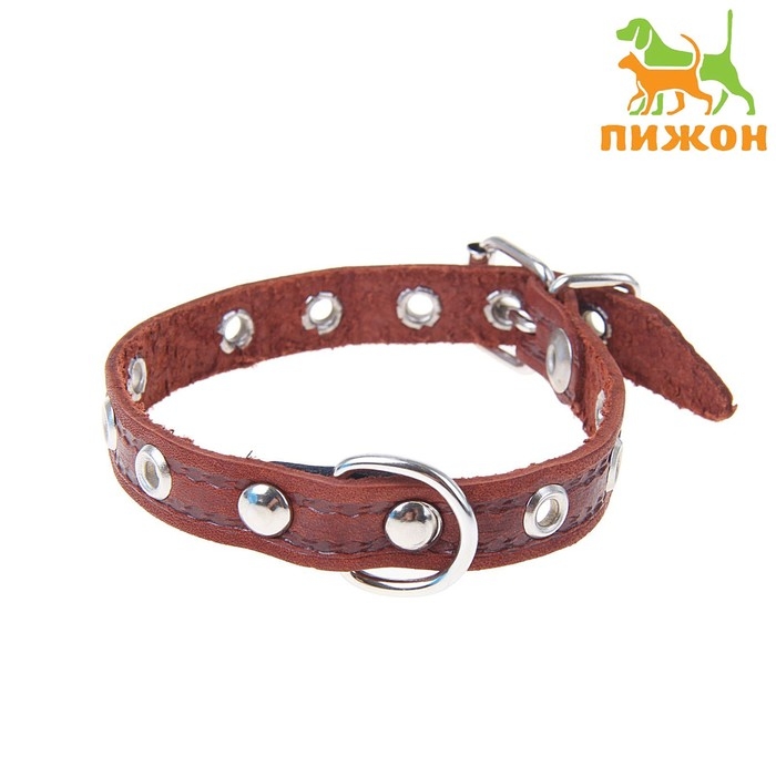 Ошейник кожаный тисненый однослойный, 29 х 1,2 см, безразмерный, микс цветов Ошейник кожаный тисненый однослойный, 29 х 1,2 см, безразмерный, микс цветов