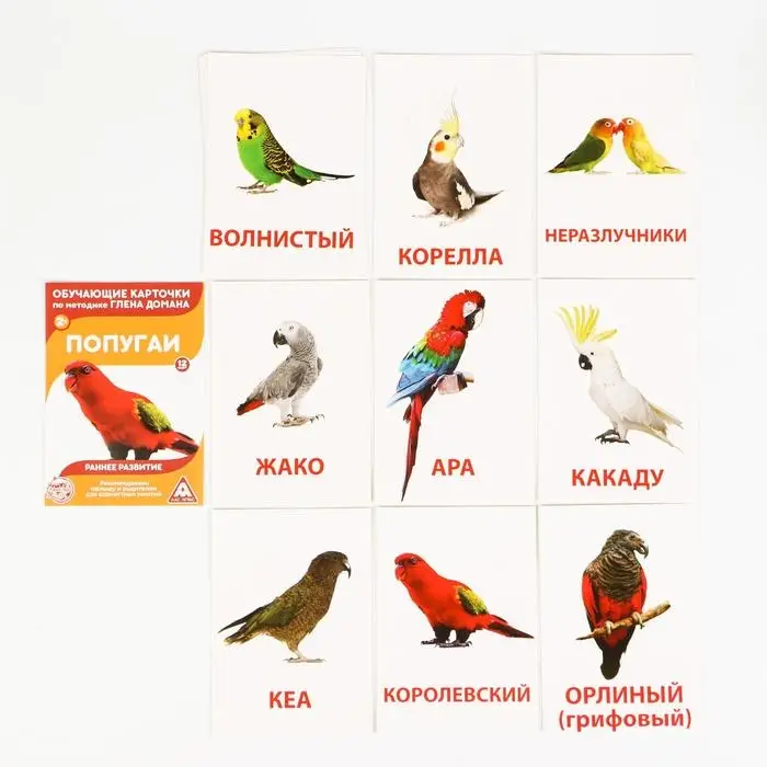 Обучающие карточки по методике Глена Домана «Расширяем кругозор», 10 штук, 2+, МИКС Обучающие карточки по методике Глена Домана «Расширяем кругозор», 10 штук, 2+, МИКС