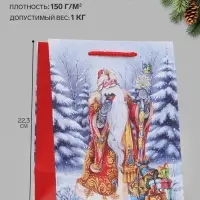 Пакет подарочный &laquo;Дедушка Мороз&raquo;, 18&times;10&times;22.3 см