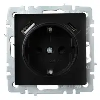 BRITE Розетка с заземлением с защитными шторками 16А с USB A+C 18Вт РЮш11-1-БрЧ черный