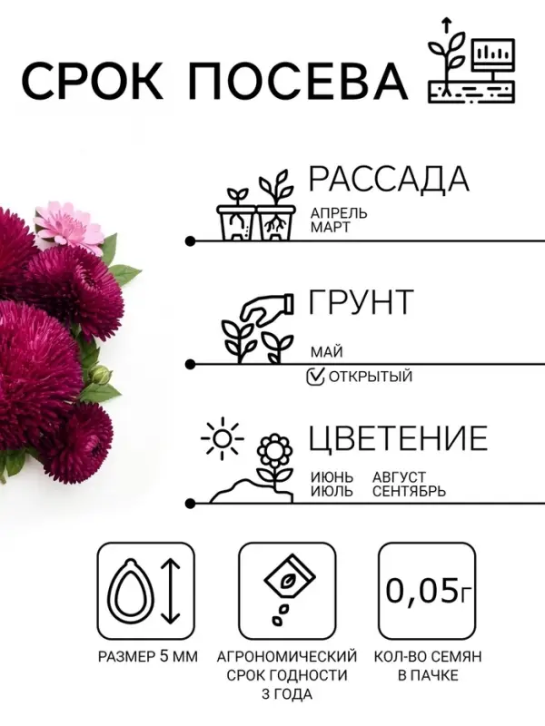 Семена цветов Астра игольчато-коготковая &laquo;Джувел Аметист&raquo;, однолетняя, 0.05 г, &laquo;Гавриш&raquo;