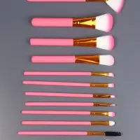 Набор кистей для макияжа COLOR POWER pink, 12 шт., футляр, розовый