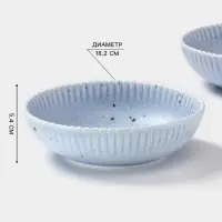 Тарелки глубокие Доляна &laquo;Коралл&raquo;, 700 мл, d=18.2 см, набор 2 шт., фарфор, голубые
