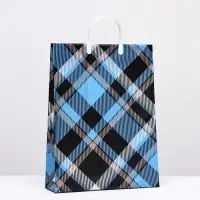 Пакет "Шотландские мотивы", мягкий пластик, 42 x 32 см, 120 мкм