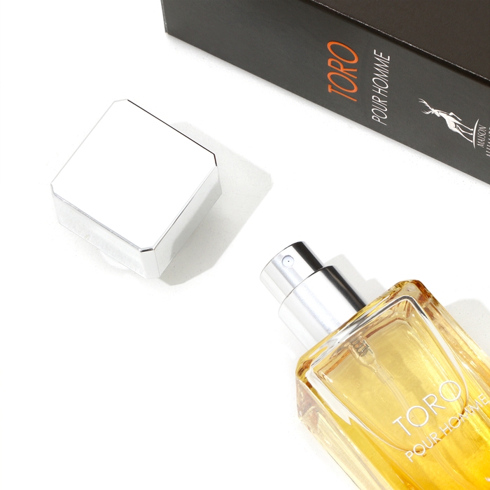 Парфюмерная вода мужская Toro Pour Homme (по мотивам Hermes Terre D'Hermes), 30 мл