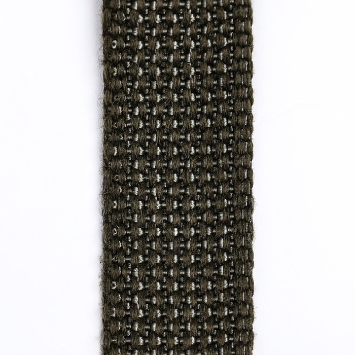 Поводок брезентовый 2 м х 2 см, тёмно-зелёный Поводок брезентовый 2 м х 2 см, тёмно-зелёный