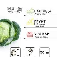 Семена Капуста пекинская &laquo;Ча-ча&raquo;, F1, 50 шт., &laquo;Русский огород&raquo;