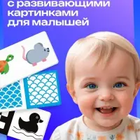 Развивающий набор &laquo;Мои первые картинки&raquo;, 80 карточек, 0+