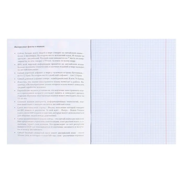 Тетрадь предметная 48 листов в клетку Error &laquo;Иностранный язык&raquo;, обложка мелованная бумага, блок офсет