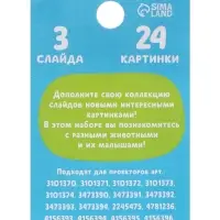 Слайды для проектора ZABIAKA &laquo;Мама и малыш&raquo;, набор, 3 слайда, 24 картинки