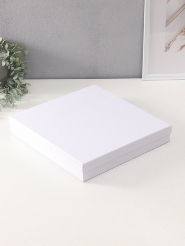 Фотоальбом на 500 фото 10х15 см Фотоальбом на 500 фото 10х15 см "Фигурное обрамление" кожзам, в коробке 5,5х32,5х34 см