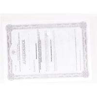 Папка-конверт на кнопке А4 100мкм прозрачный 10шт в уп