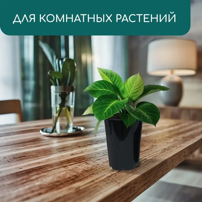 Горшок для рассады, для роз, 2 л, d = 14 см, h = 18 см, пластик, чёрный, Greengo Горшок для рассады, для роз, 2 л, d = 14 см, h = 18 см, пластик, чёрный, Greengo