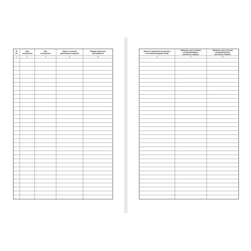 Журнал регистр.инстр-жей по БДД(вводн,предрейс,периодич,сезон,спец) ТС031-Э
