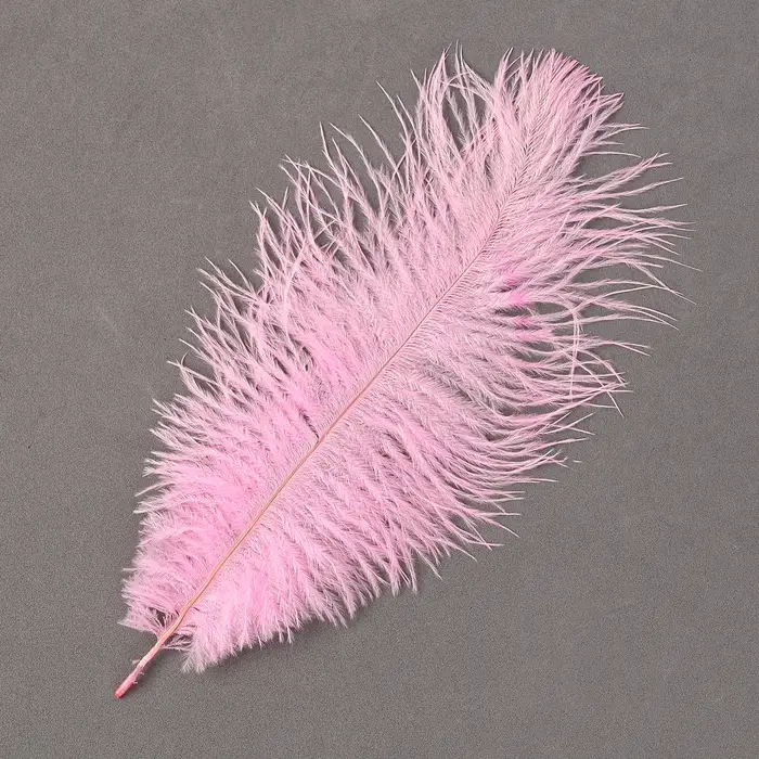 Перо для декора 1 шт., размер 20-24 см, цвет розовый Перо для декора 1 шт., размер 20-24 см, цвет розовый