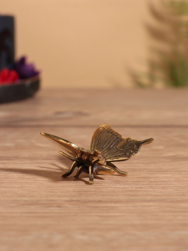 Сувенир бронза "Бабочка" 5х5х2 см