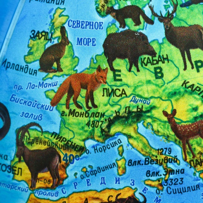 Глобус зоогеографический Глобус зоогеографический "Глобен", интерактивный, диаметр 210 мм, с подсветкой от батареек, с очками