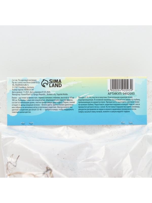 Лилия О.Т. Гибрид Orange Space, луковица в пакете с перфорацией, р-р 12/14, 2 шт.