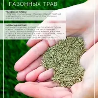 Семена газонной травы БЫСТРЫЙ, 1  кг   2277556