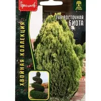 Семена цветов Туя Биота восточная  30 шт.  12.29 г.