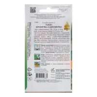 Семена Тыква "Крошечка-хаврошечка" select, 7 шт Семена Тыква "Крошечка-хаврошечка" select, 7 шт