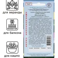 Семена комнатных цветов Герань &laquo;Яблоневый цвет&raquo;, F1, 5 шт., розовая, &laquo;Престиж семена&raquo;