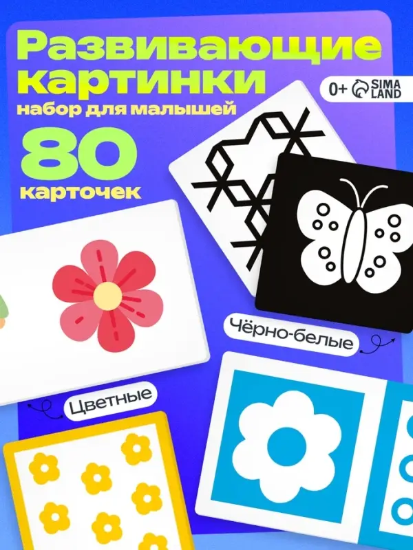 Развивающий набор &laquo;Мои первые картинки&raquo;, 80 карточек, 0+