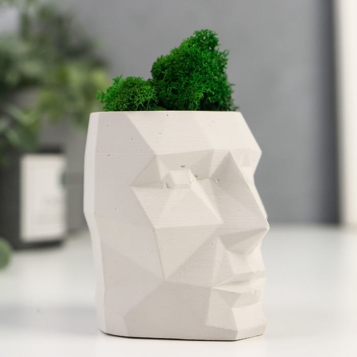 Кашпо бетонное  Кашпо бетонное "Голова" со мхом высота 8.5 см белое (мох зеленый стабилизированный)