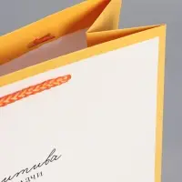 Пакет подарочный "Позитива и удачи" ламинированный 26 х 12 х 32 см