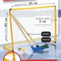 Набор для игры в хоккей (клюшка 2 шт., ворота, шайба, мяч), МИКС