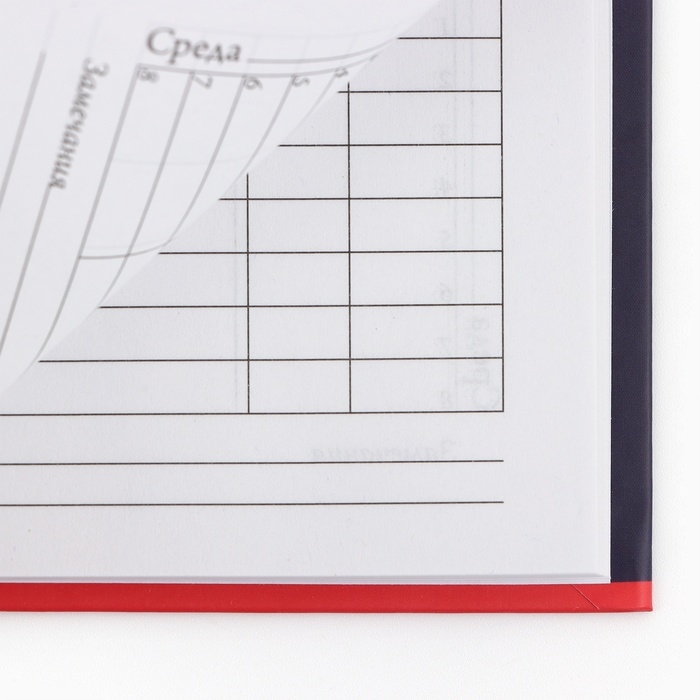 Дневник школьный 1-4 класса, в твердой обложке, 48 л &laquo;1 сентября: Динозавр&raquo;