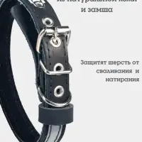 Ошейник, 35&times;1.5 см, с подкладом и светоотражающей лентой, кожа, чёрный