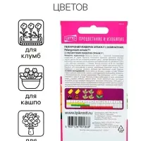 Семена комнатных цветов Пеларгония &laquo;Маверик Оранж&raquo;, F1, &laquo;Агроуспех&raquo;, 4 шт.