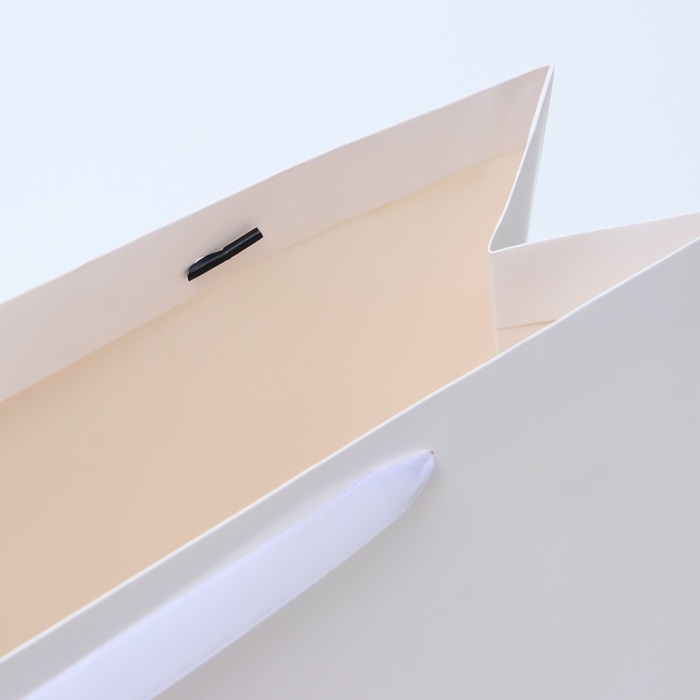 Пакет ламинированный горизонтальный «Белый», L 40 × 31 × 14 см Пакет ламинированный горизонтальный «Белый», L 40 × 31 × 14 см