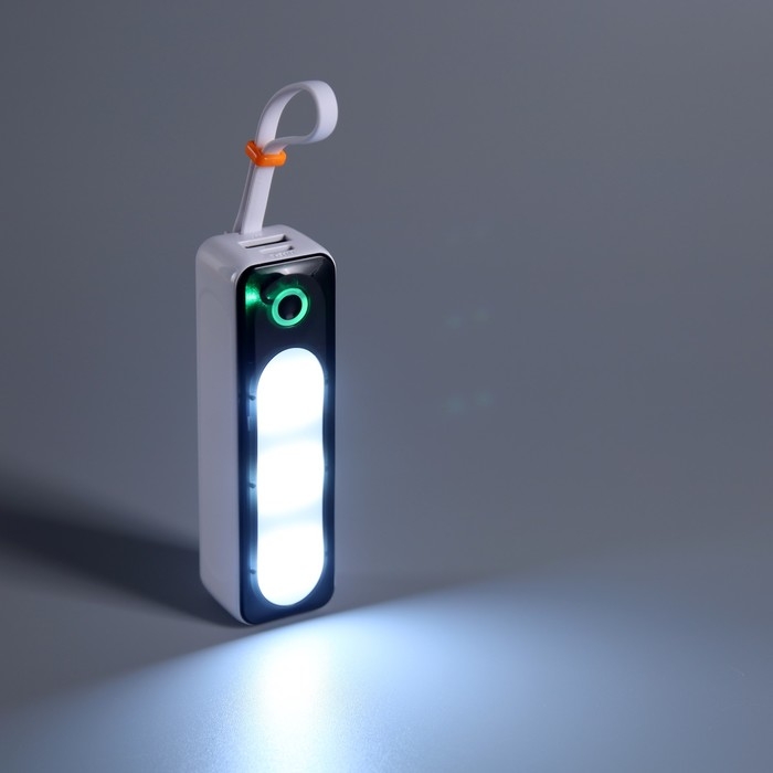 Внешний аккумулятор DX151, 5000 мАч, USB, Type-C, кабель Type-C, фонарь, белый Внешний аккумулятор DX151, 5000 мАч, USB, Type-C, кабель Type-C, фонарь, белый