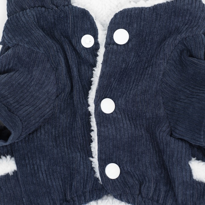 Комбинезон Комбинезон "Малыш", размер XS (ДС 20 см, ОГ 30 см, ОШ 20 см), синий