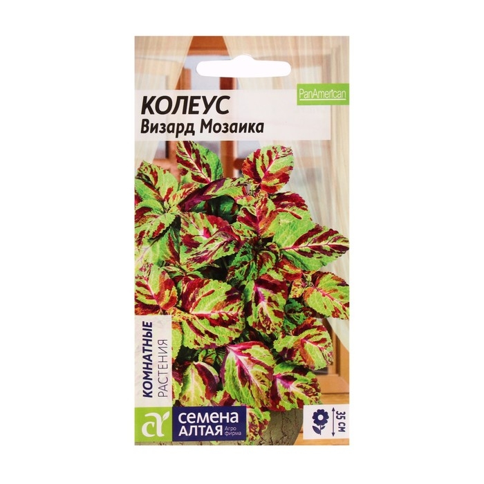 Семена цветов Колеус  Семена цветов Колеус "Визард", мозаика, Сем. Алт, ц/п, 5 шт