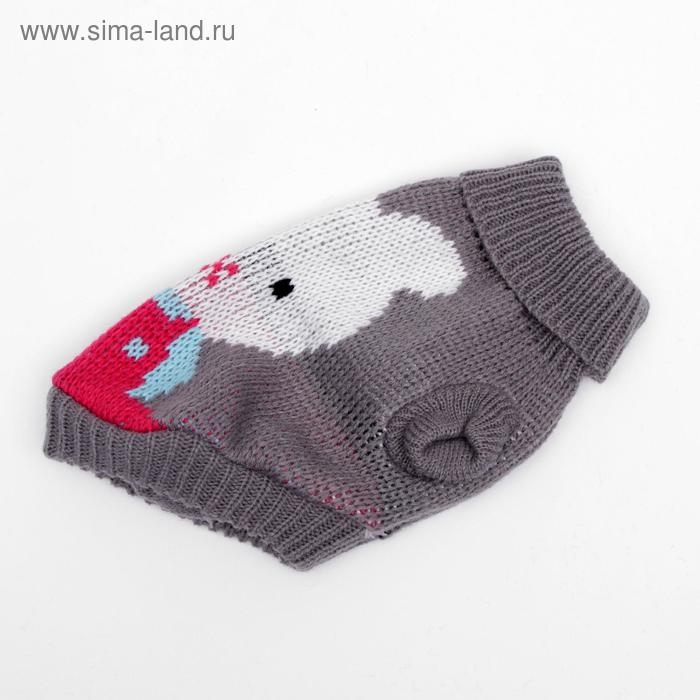 Свитер, размер 6 (24-28 см), микс расцветок Свитер, размер 6 (24-28 см), микс расцветок