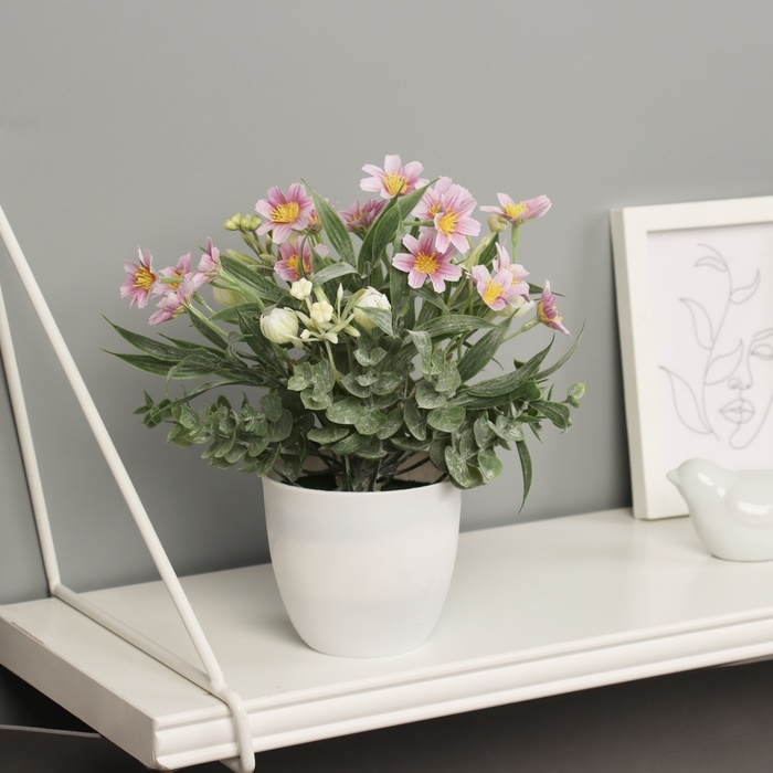 Бонсай в горшке Бонсай в горшке "Фрезия премиум экстра" 21х9 см, микс