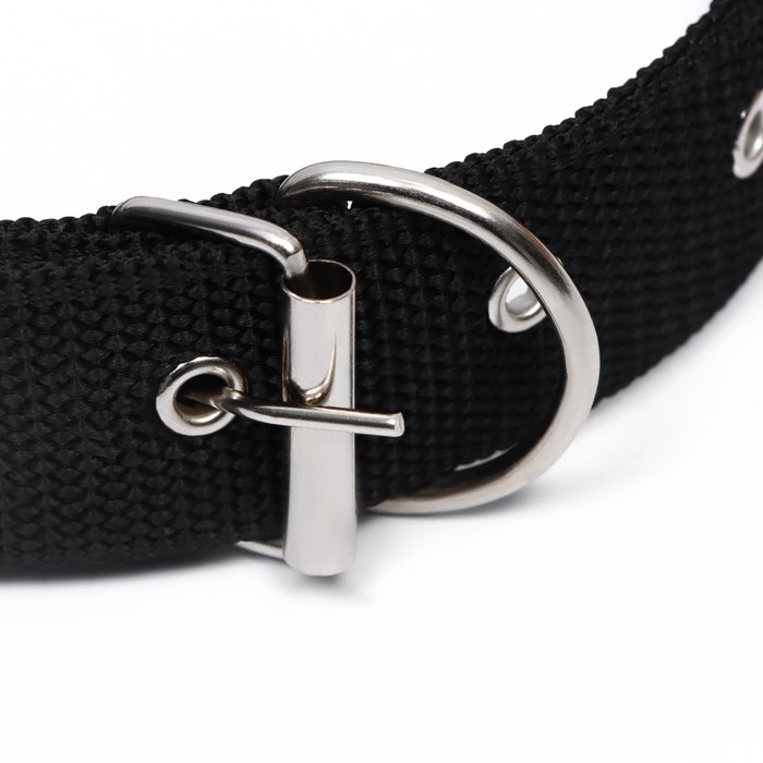 Ошейник клепаный, 48,5 х 3 см, ОШ 31-40 см, полиэстер, чёрный Ошейник клепаный, 48,5 х 3 см, ОШ 31-40 см, полиэстер, чёрный