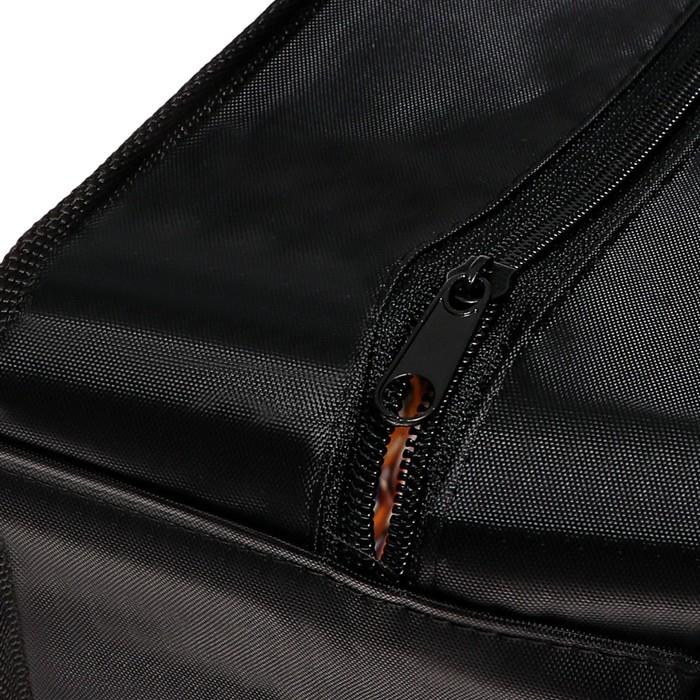 Папка с ручками А4, 330 х 260 х 120 мм, пластиковая, ручки-текстиль, Папка с ручками А4, 330 х 260 х 120 мм, пластиковая, ручки-текстиль, "Дикие Скричеры"