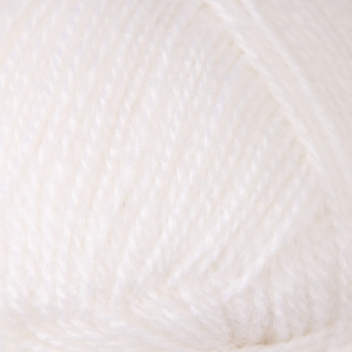 Пряжа Пряжа "Angora real 40" 60% акрил, 40% шерсть 430м/100гр (55 белый)