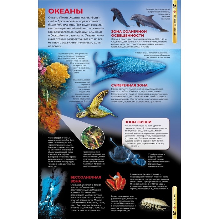 Детская энциклопедия «Планета Земля» Детская энциклопедия «Планета Земля»