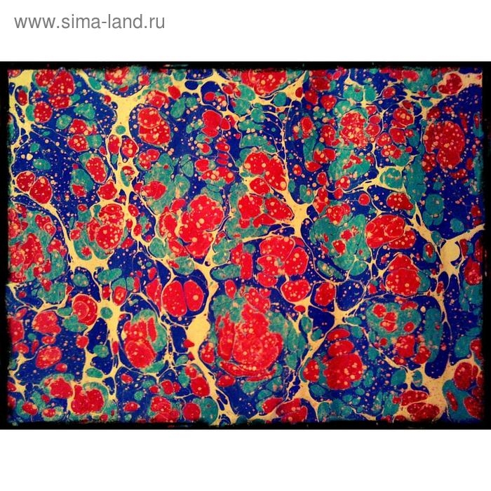 Набор красок для рисования в технике Набор красок для рисования в технике "Эбру", 5 цветов по 18 мл, загуститель, 13 г, "Аква-Колор"